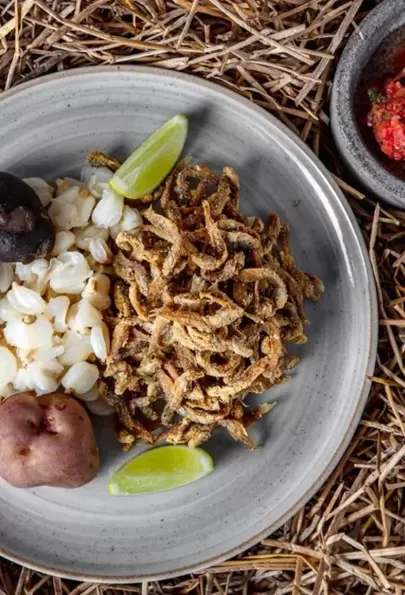 Bolivia: el nuevo epicentro gastronómico de América Latina