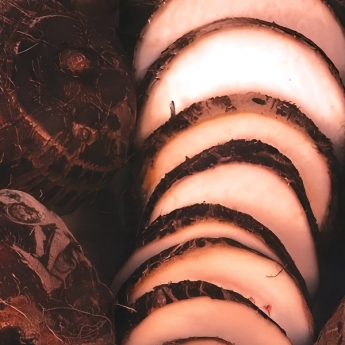 Walusa