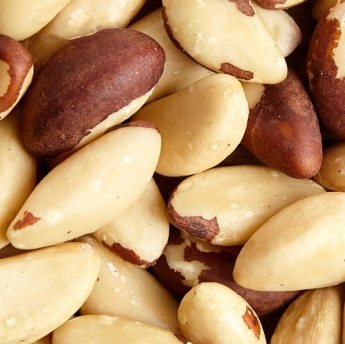 Castaña